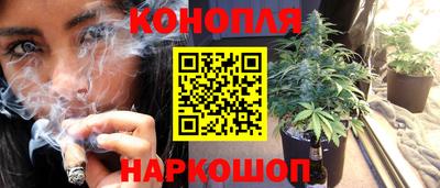 шишки Краснодар